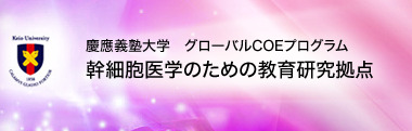 慶應義塾大学 グローバルCOEプログラム 幹細胞医学のための教育研究拠点