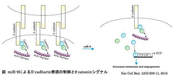 図