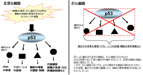 図1