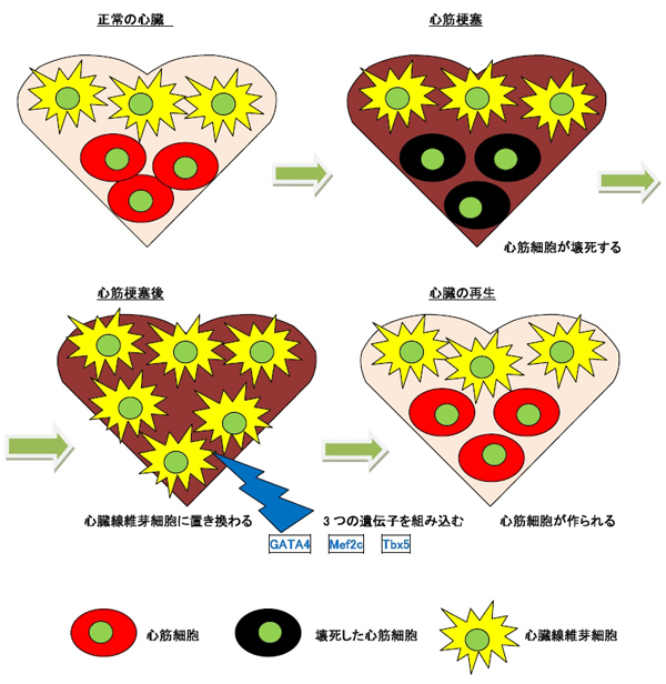 図