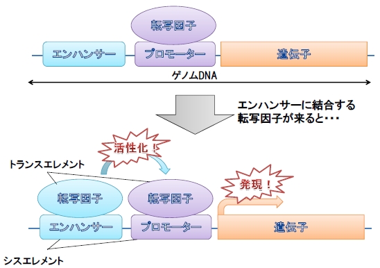 図2